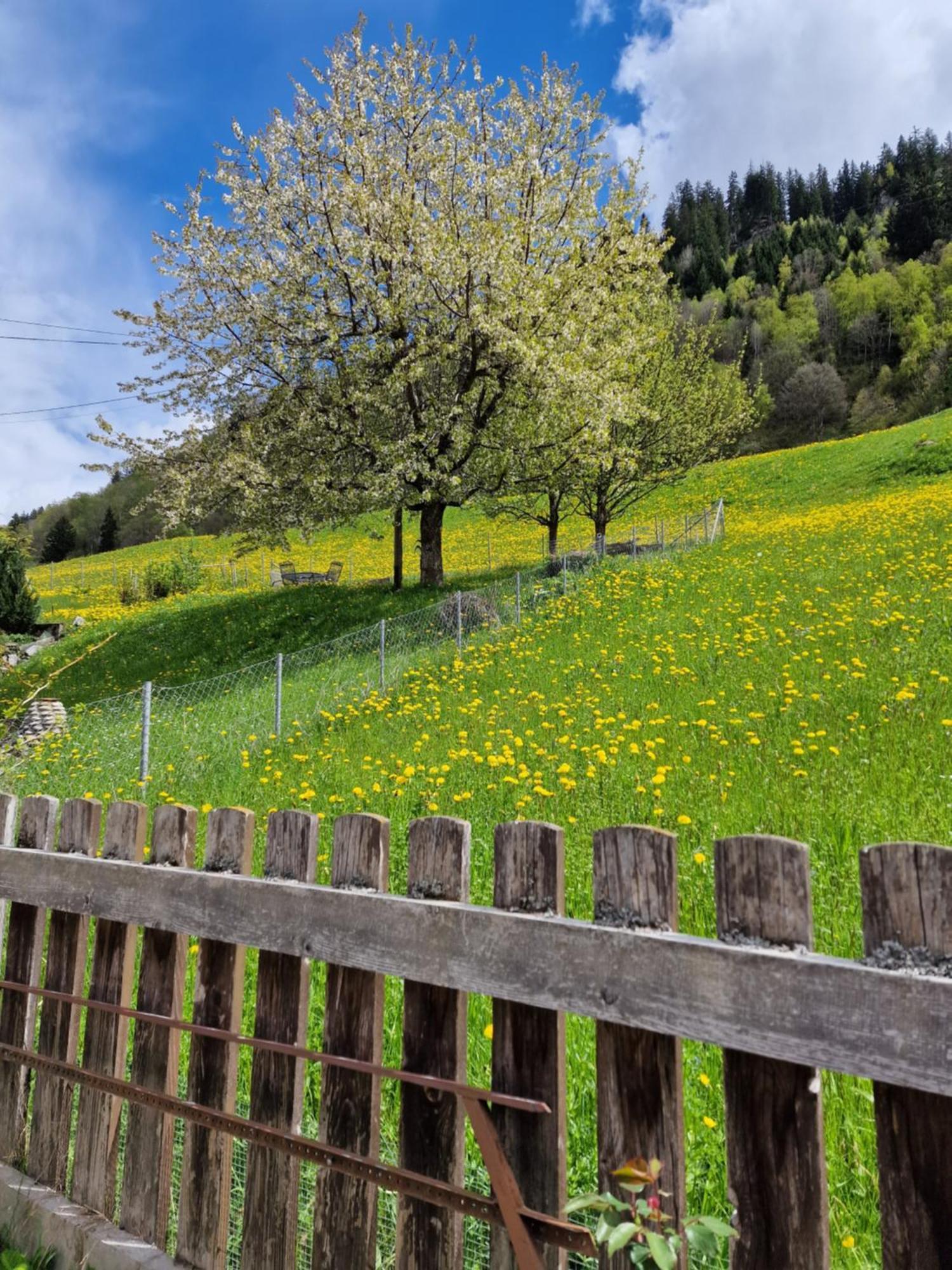 Chesa Prema Bed & Breakfast - Restaurant Disentis Exterior foto